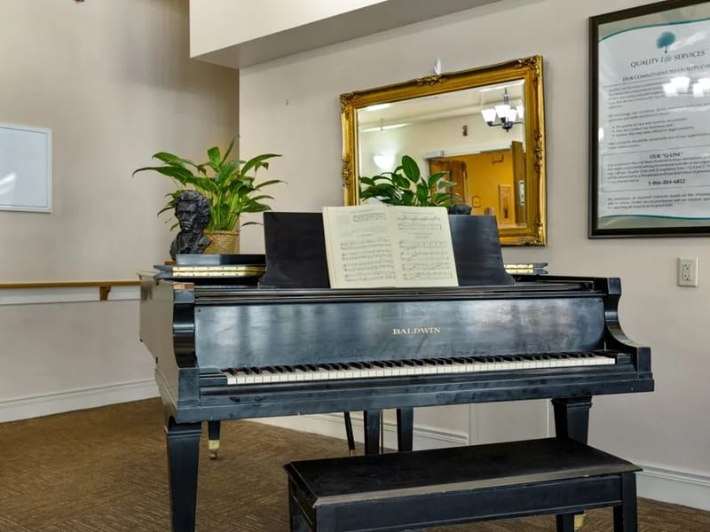 A DELIGHTFUL HOMELIFE HEALTHCARE SERVICES LLC - Home Health Nursing in Westmont, IL photo 3