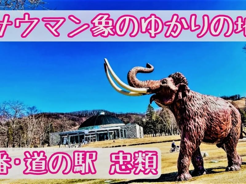 ふらっと忠類ショートステイサービス - 有料老人ホーム in 幕別町, 北海道 photo 2
