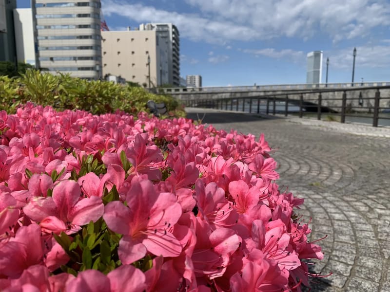 あずさの樹 - 有料老人ホーム in 新潟市中央区, 新潟県 photo 4