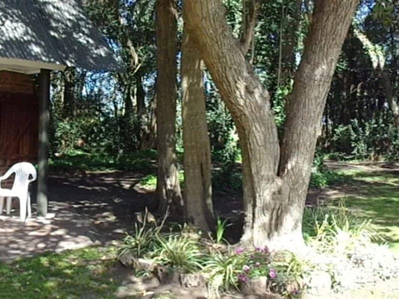 Residencia Los Ligustros in LA PLATA, BUENOS AIRES photo 1