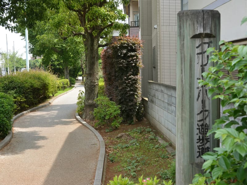 グリーンパーク居宅介護支援事業所 - 有料老人ホーム in 武蔵野市, 東京都 photo 3
