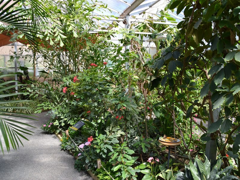 Butterfly House - Assisted Living in Halesowen, England photo 3