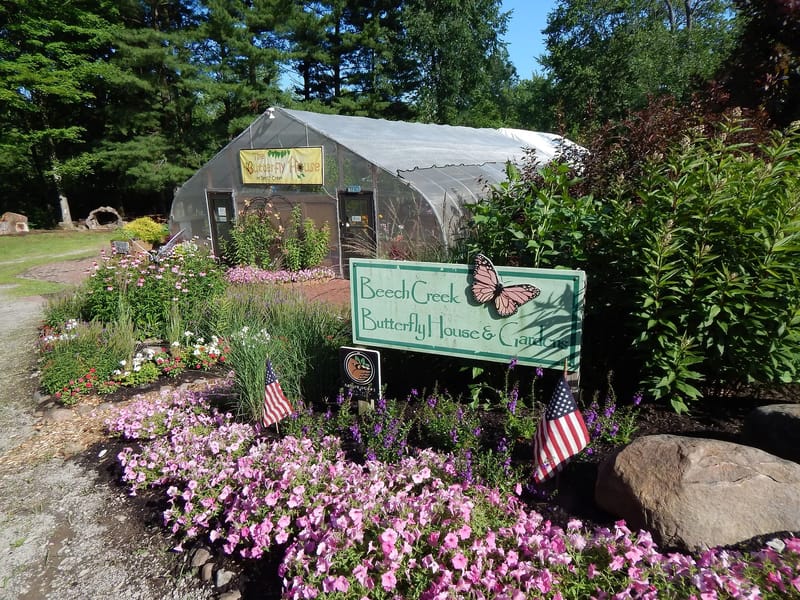 Butterfly House - Assisted Living in Halesowen, England photo 2