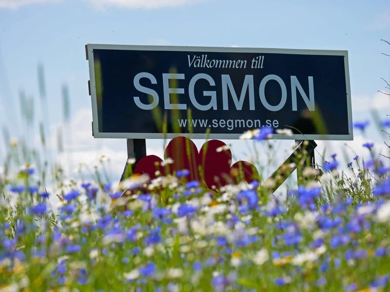Segmon - Hemtjänst in Grums, Värmlands län photo 3