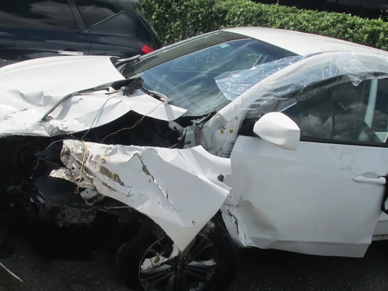 AUTO INJURY EMS'S OF FLORIDA - Home Health Nursing in Brandon, FL photo 3