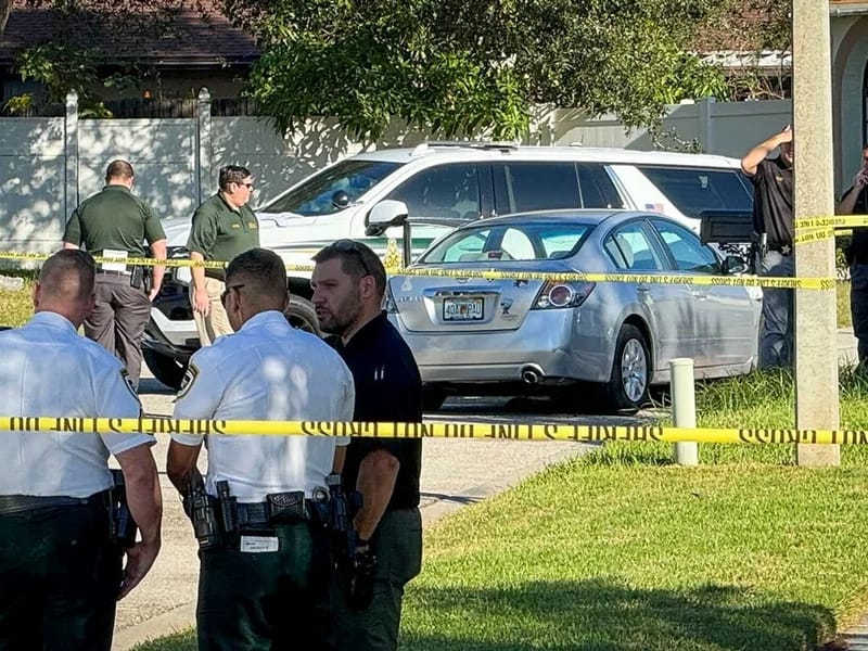 AUTO INJURY EMS'S OF FLORIDA - Home Health Nursing in Brandon, FL photo 1