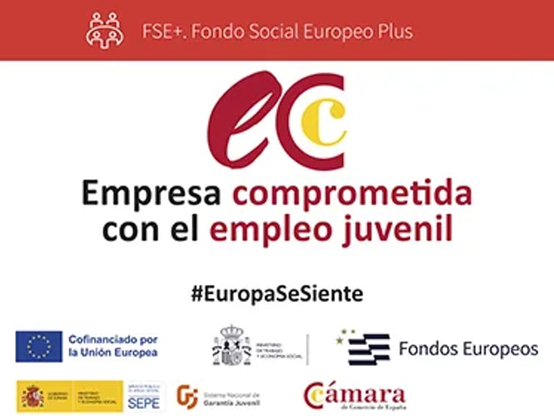 Ayuda Familiar - Cuidado en Casa in Castellón de la Plana, Comunitat Valenciana photo 3