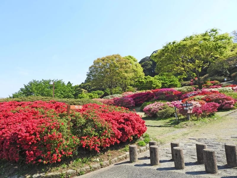 つつじの里ケアセンター - 有料老人ホーム in 津市, 三重県 photo 2