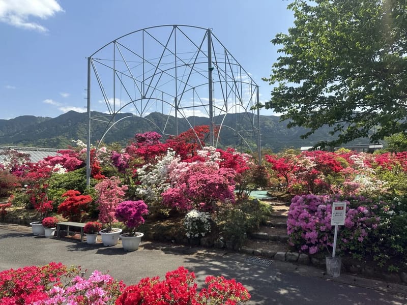 つつじの里ケアセンター - 有料老人ホーム in 津市, 三重県 photo 1
