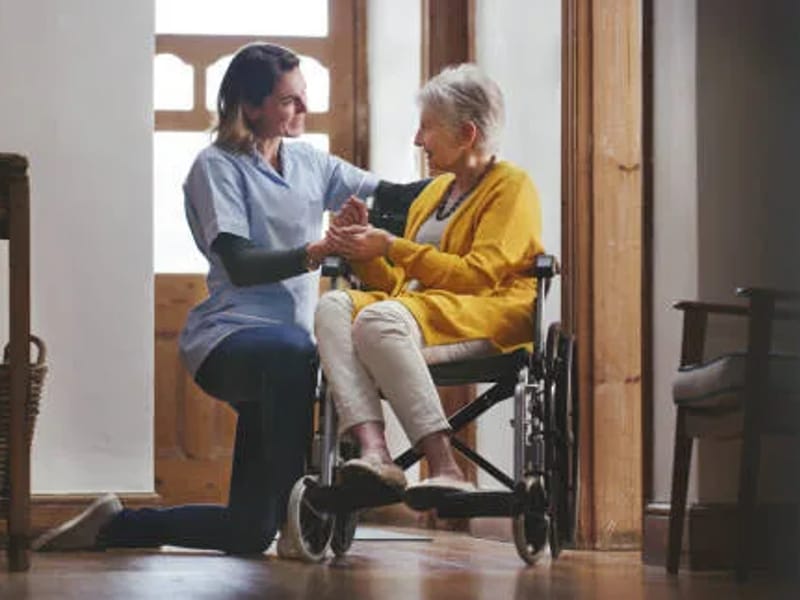 Another Helping Hand With Asstisted Living LLC — Home Health Nursing, Spanish Lake, MO · photo 1