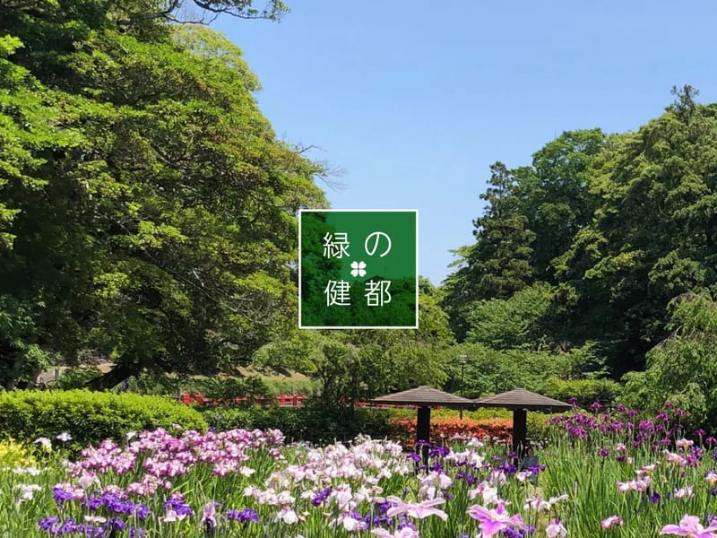 さくらさくら - 有料老人ホーム in 亀山市, 三重県 photo 3