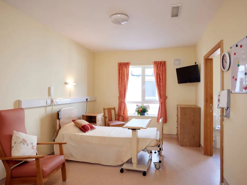 Borris Lodge Nursing Home - Nursing Home in Borris, Carlow photo 1