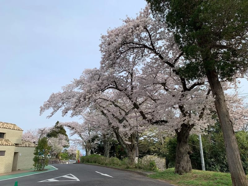 ひふみ館　神峰の森 - 有料老人ホーム in 日立市, 茨城県 photo 3
