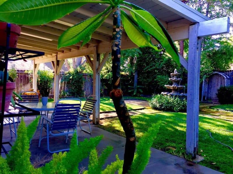 Clarendon Senior Living 3 - Assisted Living in Woodland Hills, CA photo 3