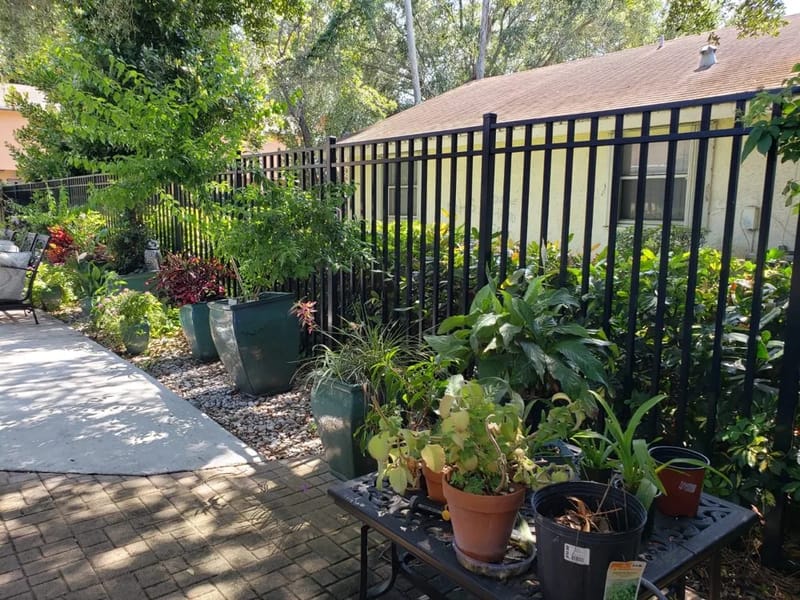 Absolute Care Alf - Assisted Living in Sunrise, FL photo 1