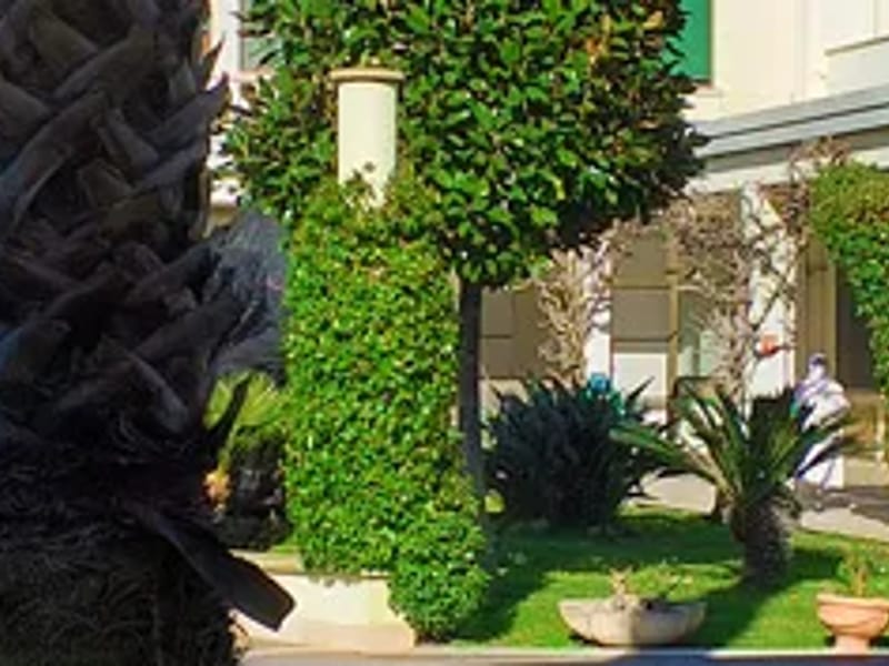 R.S.A. Oasi Tabor - Casa di Riposo in SANTA MARINELLA, Lazio photo 1
