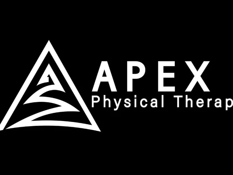Apex Physical Therapy LLC - Home Health Nursing in Merrillville, IN photo 1
