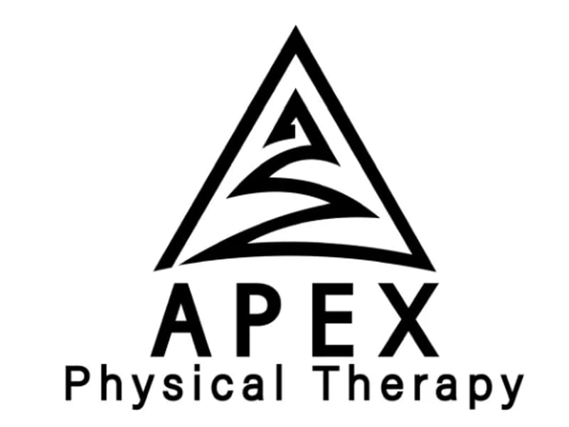 Apex Physical Therapy LLC - Home Health Nursing in Merrillville, IN photo 2