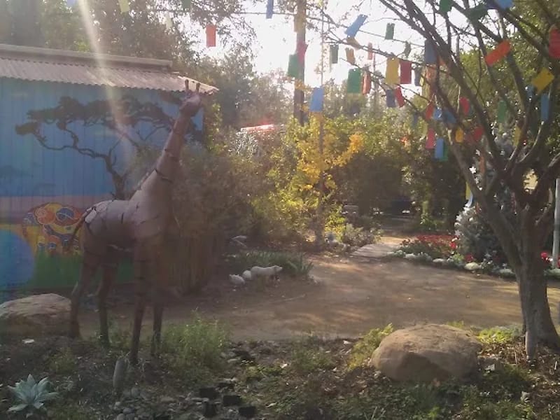 CASA HOGAR FORJANDO DESTINOS - Vida Asistida in Tijuana, Baja California photo 9