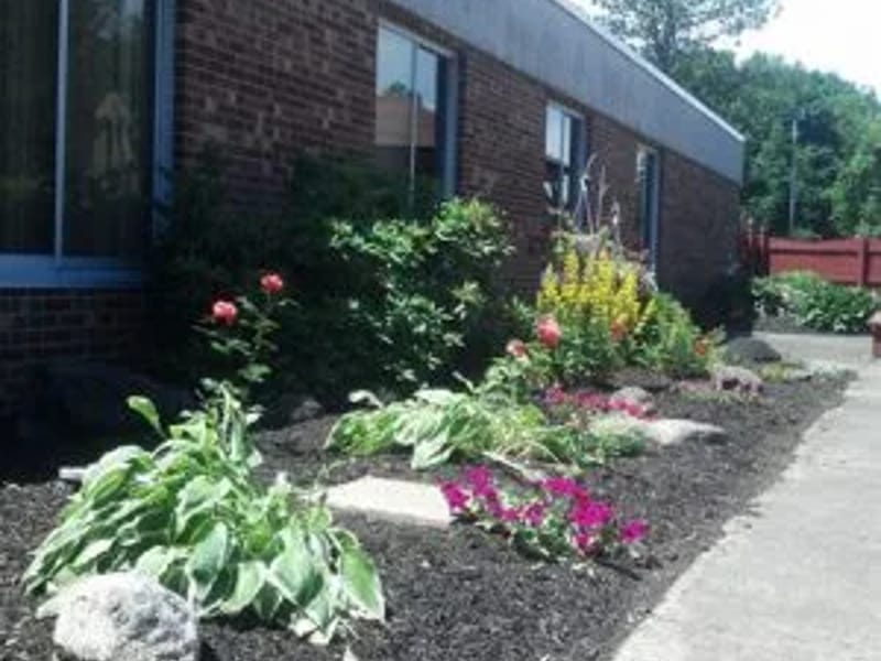 Bertrand Chaffee Hospital - Hospital in Springville, NY photo 1