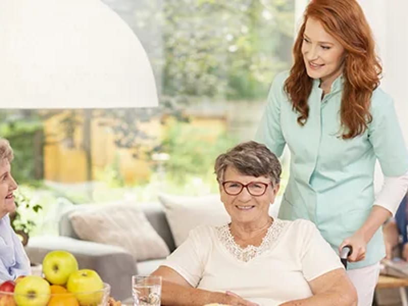 Alert Home Health Care INC - Home Health Nursing in Niles, IL photo 3