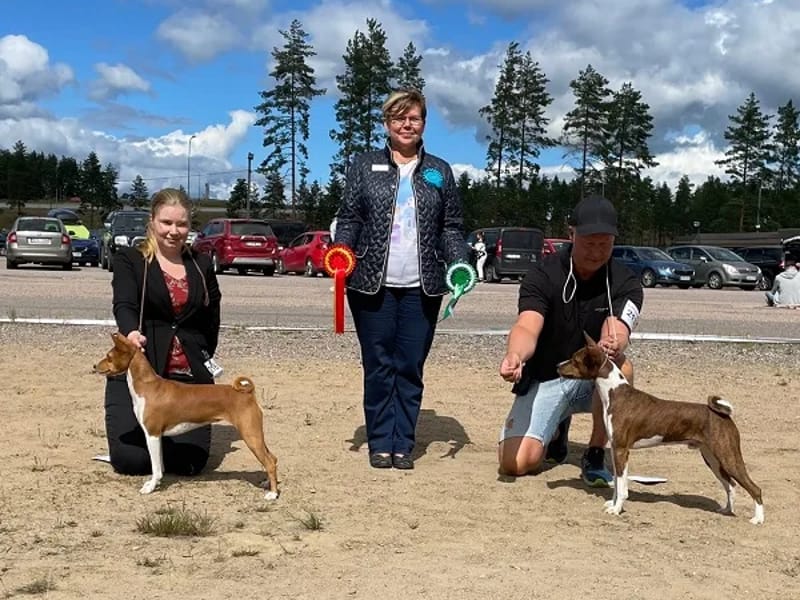 Lemmikki-ryhmä - Aikuisten päivätoiminta in Lohja, Uusimaa photo 1