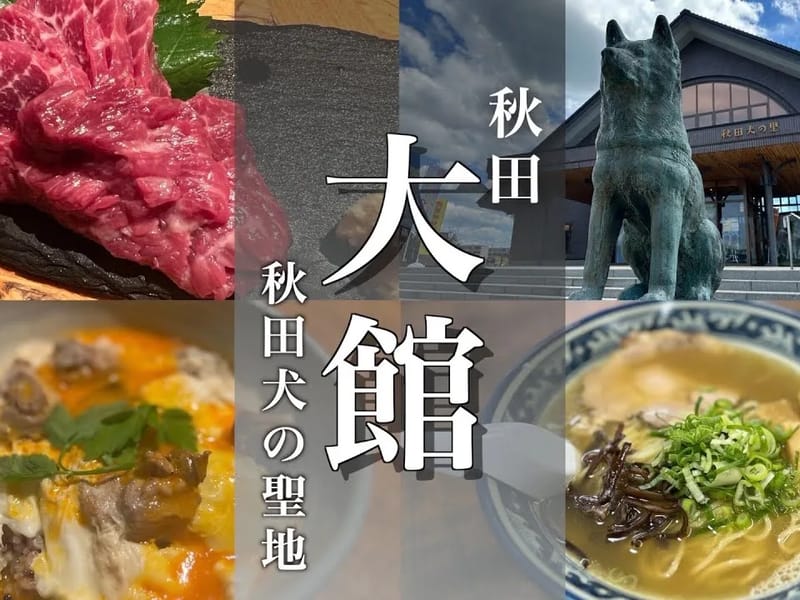ふれあいセンター - 有料老人ホーム in 大館市, 秋田県 photo 2