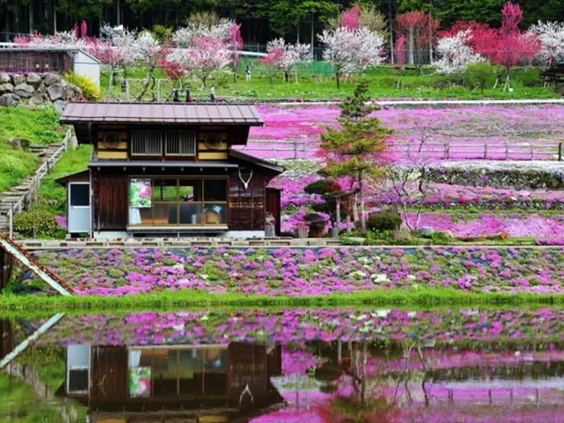 はるのひ - 有料老人ホーム in 札幌市白石区, 北海道 photo 2