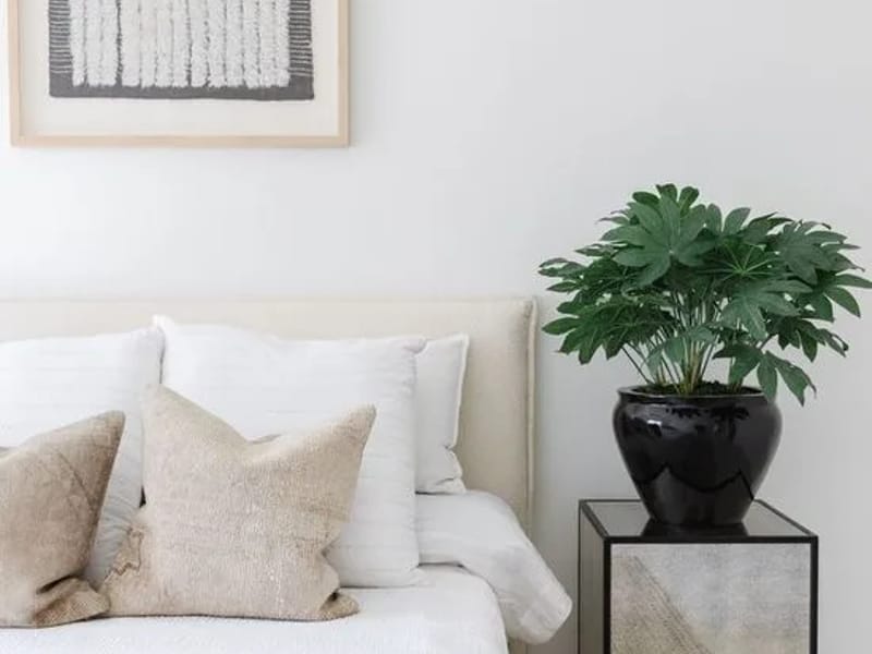 Amethyst Home # 2 - Assisted Living in Anaheim, CA photo 3