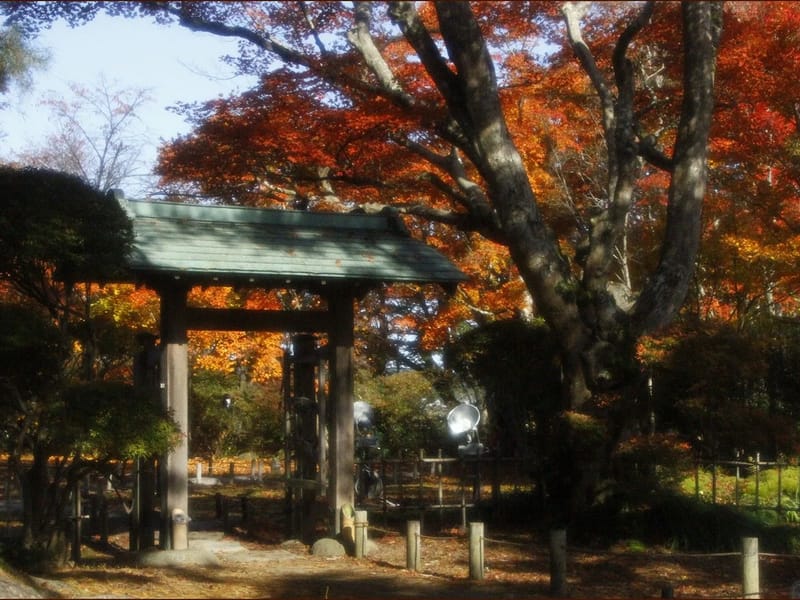 みどりの杜 - 有料老人ホーム in 長岡市, 新潟県 photo 2