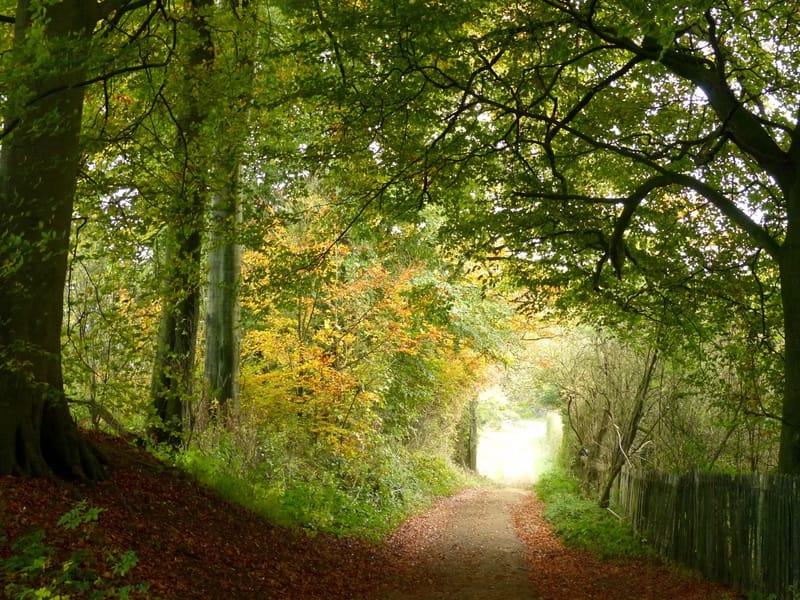 Autumn Leaves UK Limited - Assisted Living in Blackpool, England photo 2