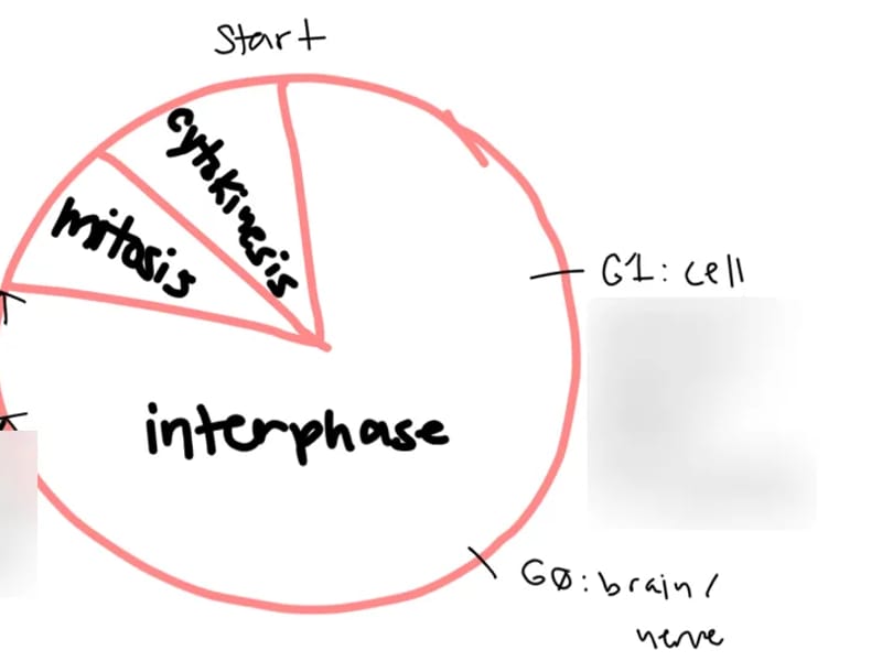 Enhet 4 - Hemtjänst in Sunne, Värmlands län photo 1