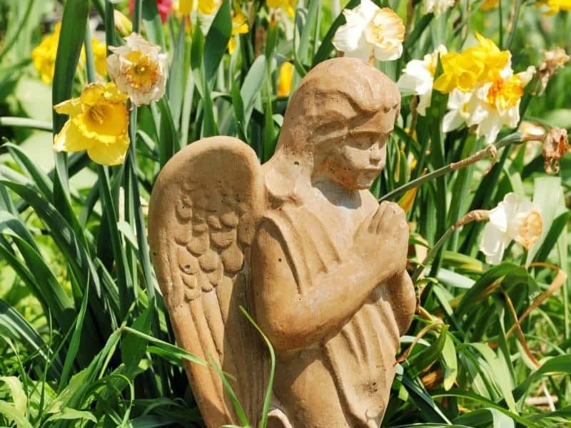 Angels Garden Iii (The) - Assisted Living in Silver Spring, MD photo 2
