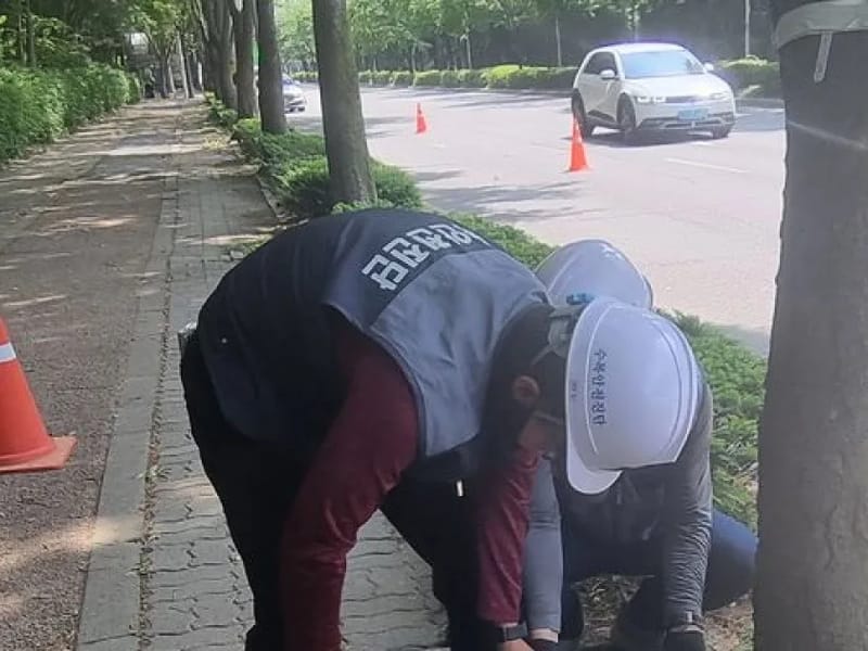 (주)예손제이헤븐요양원 in 남동구, 인천광역시 photo 2