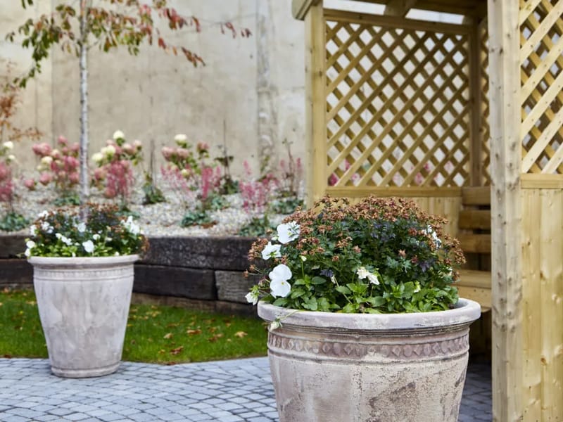 Curam Care Home Dundalk - Nursing Home in Dundalk, Louth photo 2