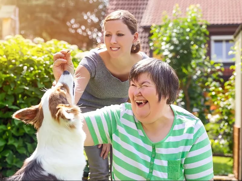 Abnercare Ltd - In-Home Care in Macclesfield, England photo 3