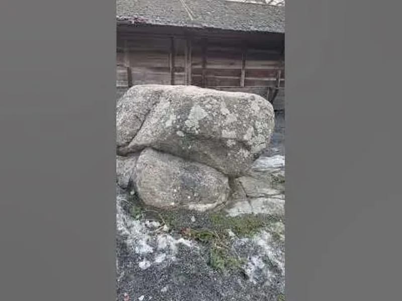 Solsäter - Äldreboende in Åmål, Västra Götalands län photo 2