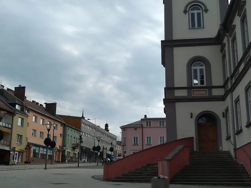 Powiat Brzozowski - Pielęgniarstwo domowe in Brzozów, Brzozów photo 6