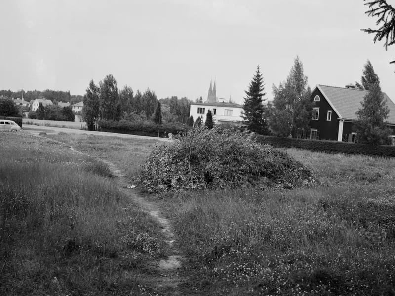 Skogsgården - Äldreboende in Uppsala, Uppsala län photo 2