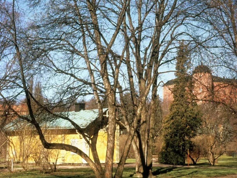Skogsgården - Äldreboende in Uppsala, Uppsala län photo 3