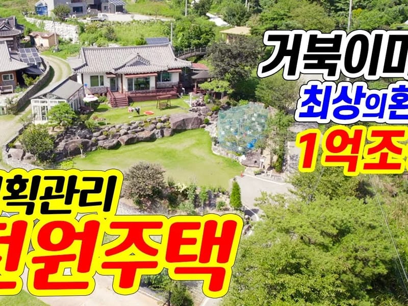 거북마을 in 파주시, 경기도 photo 2