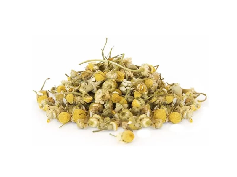 Chamomile Care Ltd - In-Home Care in Abingdon, England photo 2