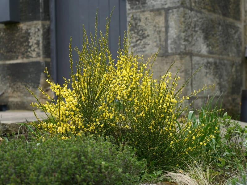 River Garden Care (Sutton) - Assisted Living in Wallington, England photo 2