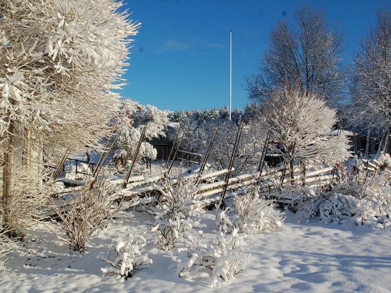 Graningebyn - Äldreboende in Sollefteå, Västernorrlands län photo 2