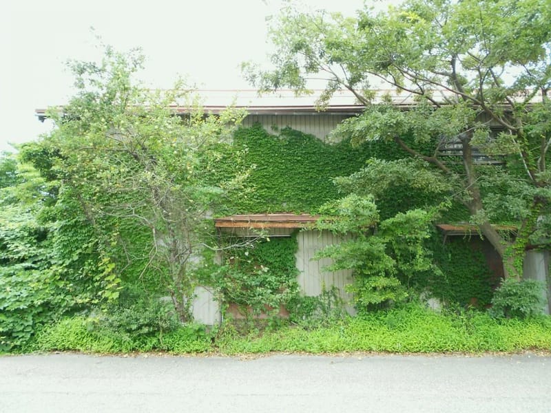 グリーンハウス　与原 - 有料老人ホーム in 与那原町, 沖縄県 photo 1