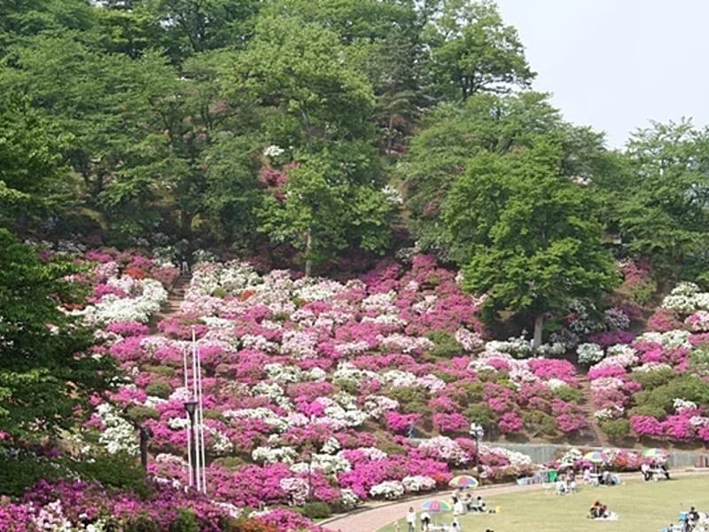 つつじの家 - 有料老人ホーム in 鯖江市, 福井県 photo 1