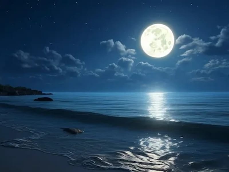 C.d.psichiatrico La Luna Azzurra - Centro Diurno in Pontedera, Toscana photo 2