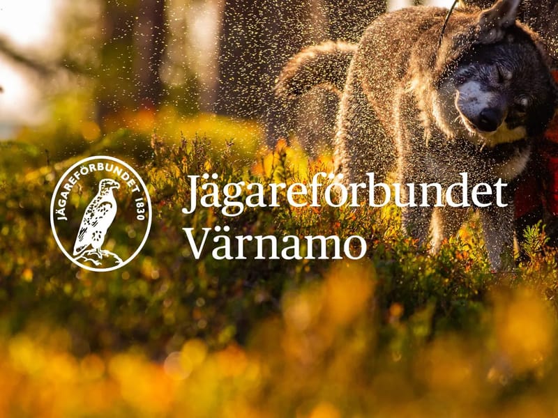 Htj Vråen - Hemtjänst in Värnamo, Jönköpings län photo 2
