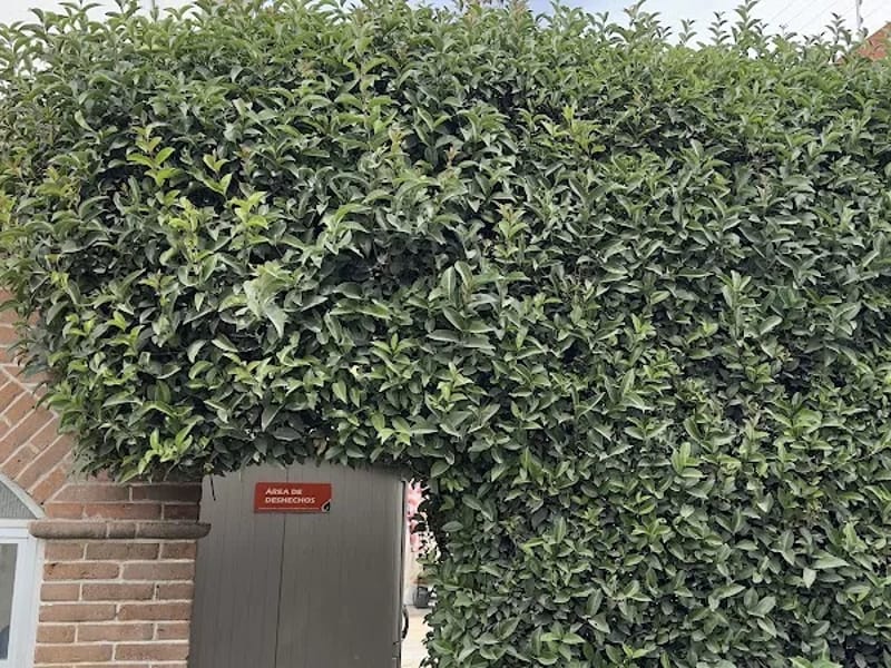 BELLA EPOCA ASILO - Hogar de Ancianos in Puebla, Puebla photo 9