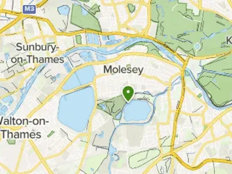 The Summers - Assisted Living in West Molesey, England photo 2